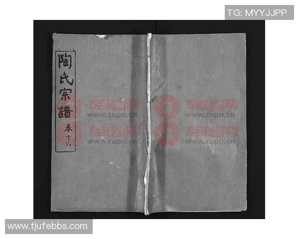 陶姓足球员的代表性球星是谁？探寻中国足球中的陶姓人物与成就